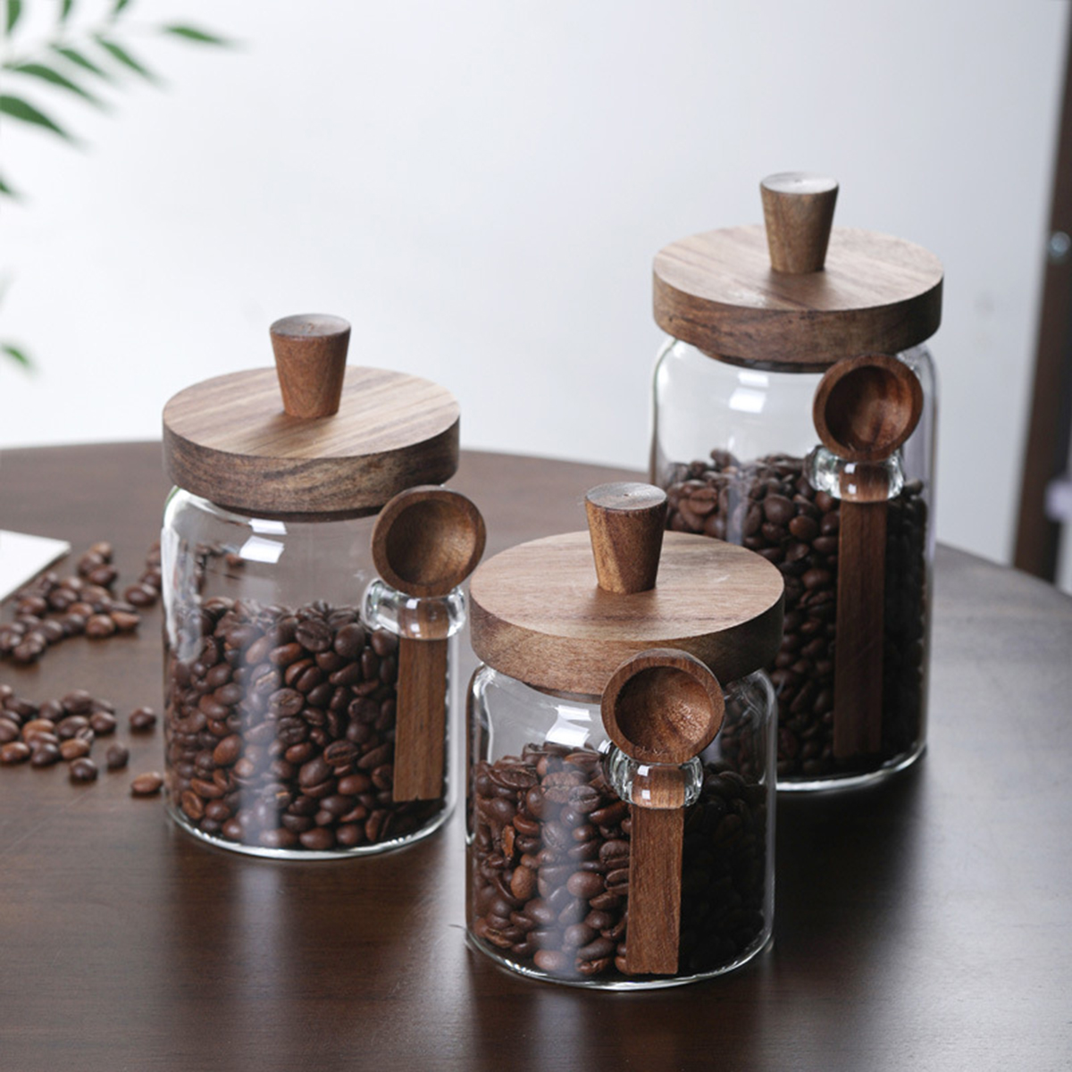 3 Pack High Borosilicate Glass - Coffee And Tea Glass review and price